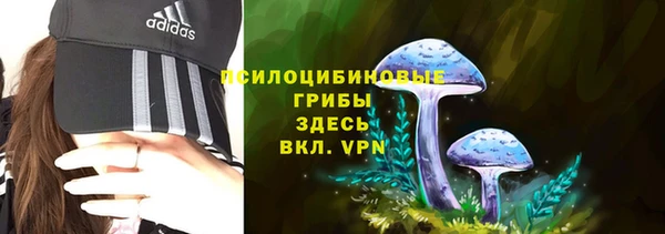 Альфа ПВП Алексеевка